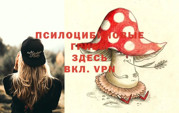 таблы Богданович