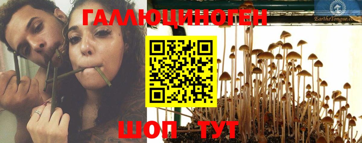 Наро-Фоминск  Галлюциногенные грибы Magic Shrooms  Вход с VPN  что такое   Галлюциногенные грибы Psilocybine cubensis 